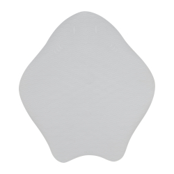 copy of 